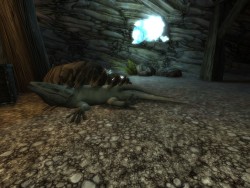 ꡼ No.003Υͥ / CBT̵³Ρ֥ڥܡסޥåɲá٥륭å׳ʤɤΥåץǡȤ»