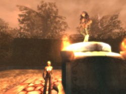 ꡼ No.005Υͥ / CBT̵³Ρ֥ڥܡסޥåɲá٥륭å׳ʤɤΥåץǡȤ»