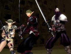 ꡼ No.015 | BASTARD!! -ONLINE-ץ󥿥ӥ塼եå̲2009ǯ˸ưõ