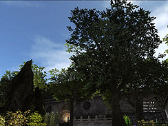 画像ギャラリー No.007のサムネイル画像 / アラリオ,オンラインアクションRPG「蒼天」のクローズドβテスターを5000人追加募集と発表。4Gamer読者枠も500人増量