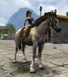 ���������꡼ No.005�Υ���ͥ������ / ����ŷ�ס���Ϋå��ɿ��ޥåפ��ϽѤ��ܥ����������̾��2Ƭ�о�