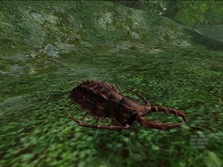 ꡼ No.022 | PR۶ϥץ쥤Ǥʤڤ򡪡ƥɲäǡβơŷפޤޤǮ