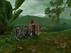 ꡼ No.013 | ŷ119緿åץǡȡҳ͡ɤ뿷襤