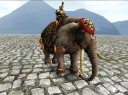 ꡼ No.003 | ŷס緿åץǡȡС礬216˼»