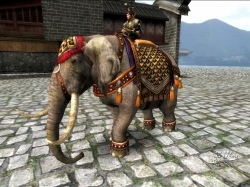 ꡼ No.004 | ŷס緿åץǡȡС礬216˼»