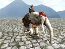 ꡼ No.005 | ŷס緿åץǡȡС礬216˼»