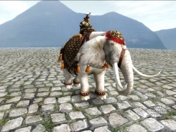 ꡼ No.006 | ŷס緿åץǡȡС礬216˼»