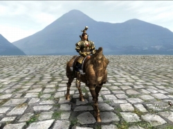 ꡼ No.008 | ŷס緿åץǡȡС礬216˼»