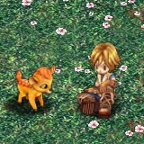 ���������꡼ No.004�Υ���ͥ������ / ��XenepicOnline Revo�׿�����������»ܡ��⡼��Ǥϴ��ָ��������