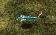 画像ギャラリー No.001のサムネイル画像 / 「XenepicOnline Revo」イベント「薬師ボロスと薬の材料」が本日スタート