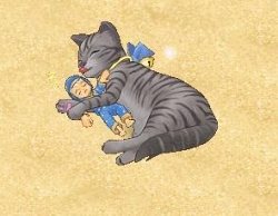 ꡼ No.007Υͥ / ַ onlineס̲ǭɤȼɤʤɡΥåץǡƤ򤴾Ҳ