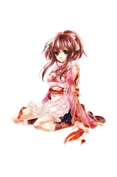 ꡼ No.011Υͥ / ַ online׿󥸥̸µܡפо緿åץǡȡ