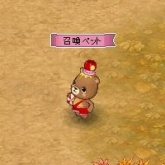 ꡼ No.012Υͥ / ַ online׸ꥢƥ䤹뤪ۻҲ󤬳ƽо