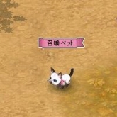 ꡼ No.014Υͥ / ַ online׸ꥢƥ䤹뤪ۻҲ󤬳ƽо