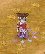 ꡼ No.015Υͥ / ַ online׸ꥢƥ䤹뤪ۻҲ󤬳ƽо