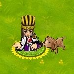 ꡼ No.005Υͥ / ַס4ǯǰʡޡɤ4ָиͤ400