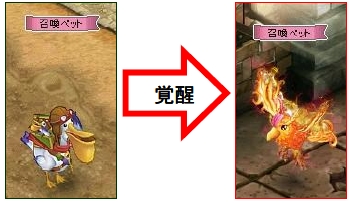 ꡼ No.006Υͥ / ַסڥꥫ󤫤ԻĻѿȤΥڥåо