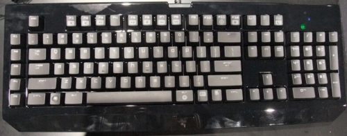 ���������꡼ No.009�Υ���ͥ������ / ��TGS 2010��Razer�֡�����ݡ��ȡ������ʤ�Xbox 360�ѥ���ȥ������Onza�פ�PC�ѥ����ܡ��ɡ�BlackWidow�פˤ⿨�äƤߤ�