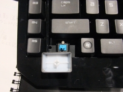 ���������꡼ No.010�Υ���ͥ������ / ��TGS 2010��Razer�֡�����ݡ��ȡ������ʤ�Xbox 360�ѥ���ȥ������Onza�פ�PC�ѥ����ܡ��ɡ�BlackWidow�פˤ⿨�äƤߤ�