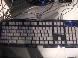 ���������꡼ No.012�Υ���ͥ������ / ��TGS 2010��Razer�֡�����ݡ��ȡ������ʤ�Xbox 360�ѥ���ȥ������Onza�פ�PC�ѥ����ܡ��ɡ�BlackWidow�פˤ⿨�äƤߤ�