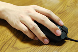 ꡼ No.027Υͥ / Razer Taipanץӥ塼RazerסΡ֥ϥڥåʺоηޥפ㤤