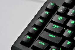 ꡼ No.004Υͥ / Razer BlackWidow Ultimate 2013פļѤΥޡܡɤϡ2013ǯǥǲѤä