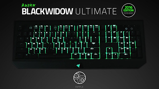 BlackWidow Ultimate 2016Υץꥻåȯѥ