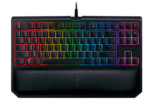 ���������꡼ No.002�Υ���ͥ������ / Razer���������ϻ����ٱ��︺��������10�����쥹�����ܡ��ɡ�BlackWidow TE Chroma V2�פ�ľ�Υ����Ȥ�ȯ��