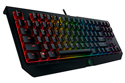 ���������꡼ No.004�Υ���ͥ������ / Razer���������ϻ����ٱ��︺��������10�����쥹�����ܡ��ɡ�BlackWidow TE Chroma V2�פ�ľ�Υ����Ȥ�ȯ��