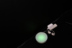 ꡼ No.007Υͥ / TGS 2017Ϥ줳ޡ̩!? LEDߥ͡ǽChromaפˤֿΤ꤫פRazer