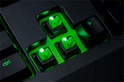���������꡼ No.005�Υ���ͥ������ / ��Razer BlackWidow Ultimate�פ��ɿ���ũ���ͤǥ�˥塼����