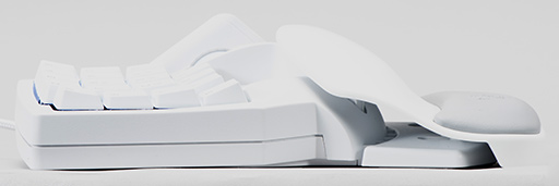 ꡼ No.011 | ѥѥåɡTartarus Proץեȥץå󡣿åδϡ