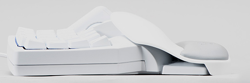 ꡼ No.012 | ѥѥåɡTartarus Proץեȥץå󡣿åδϡ