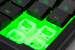 ꡼ No.018 | ѥѥåɡTartarus Proץեȥץå󡣿åδϡ