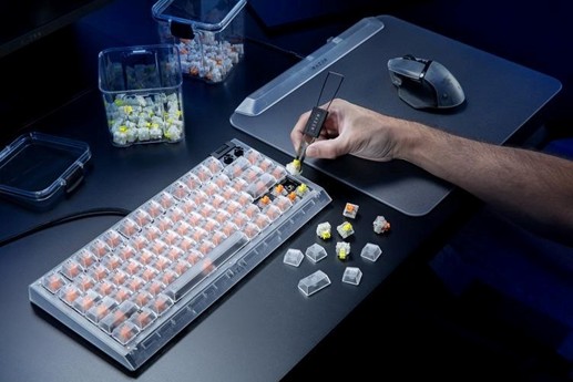 ���������꡼ No.003�Υ���ͥ������ / ȾƩ����Razer�����յ��亮�꡼���˥ۥ磻�ȤΥ���Х꤬�о�