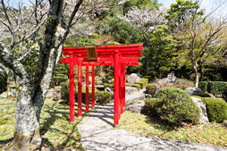 画像ギャラリー No.007のサムネイル画像 / Logicool Gとオムロンによるオリジナルメカニカルキースイッチ「Romer-G」,その製造工程を鳥取でじっくり見てきた