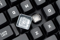 ꡼ No.022Υͥ / Logicool Gο꡼ProdigyפȤϲʤΤܼôԥ󥿥ӥ塼