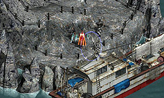 ���������꡼ No.005�Υ���ͥ������ / �ܥ��������������LOST ONLINE��3��Υ��åץǡ��ȡ����٥�Ⱦ���