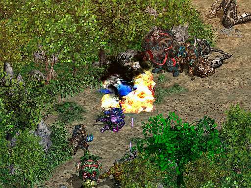 画像ギャラリー No.005のサムネイル画像 / 「LOST ONLINE REBIRTH」新マップ「未知の島」や期間限定アイテムを追加