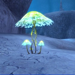 画像ギャラリー No.012のサムネイル画像 / 「グランディア オンライン」ハロウィンイベント“パンプキンパニック”