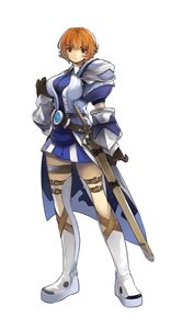 ꡼ No.010Υͥ / ֥ǥ 饤ץåץǡȼ»ܤǿι֥ơפо졣о쥭饯ôͥؤ