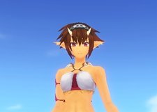 ꡼ No.016Υͥ / ֥ǥ 饤ץåץǡȼ»ܤǿι֥ơפо졣о쥭饯ôͥؤ