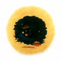 ꡼ No.008Υͥ / ֥ǥ 饤ס ˨θϿո