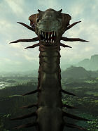 �ѥå�����