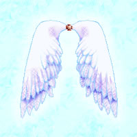 ���������꡼ No.003�Υ���ͥ������ / �֥����ʥ��ƥ����ץ���åԥ󥰻��Υ��ԥ����ɤ��ӥ塼���罸��