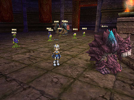 ������#007�Υ���ͥ���/�֥ۡ��꡼�ӡ����ȡ�8���������ꥢ�и���2�ܤǥ�٥륢�åױ���