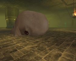 ꡼ No.007 | ֥ۡ꡼ӡȡפ緿åץǡȡ̴פʥ󥭥ڡⳫ