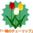 画像ギャラリー No.010のサムネイル画像 / 「バルビレッジ」おしゃれボックス第3弾＆フラワーボックス限定発売