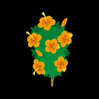 #007Υͥ/ڥ꡼֥ۡХӥåסƤ̤ȥԥʥƥब