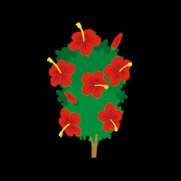 #008Υͥ/ڥ꡼֥ۡХӥåסƤ̤ȥԥʥƥब